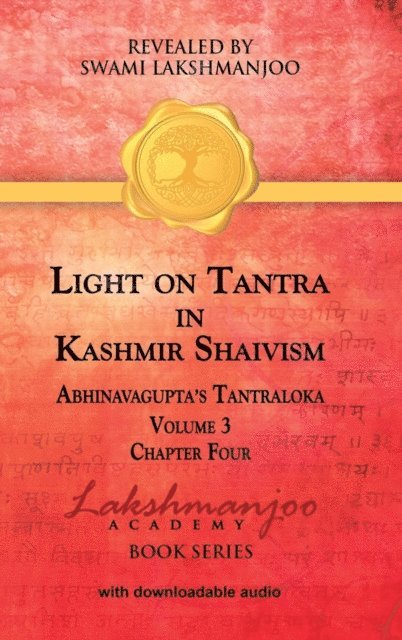 Viresh Hughes - Light on Tantra in Kashmir Shaivism - Volume 3, E-bok