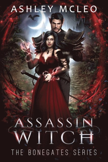 Ashley McLeo - Assassin Witch, E-bok