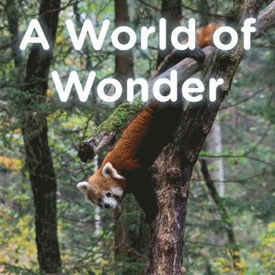 Brent A Ford, Lucy McCullough Hazlehurst - World of Wonder, Häftad. Tillgänglighet: Lägg i varukorg