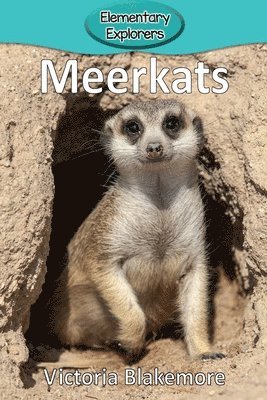 Victoria Blakemore - Meerkats, Häftad. Tillgänglighet: Lägg i varukorg