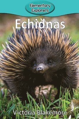 Victoria Blakemore - Echidnas, Häftad. Tillgänglighet: Lägg i varukorg