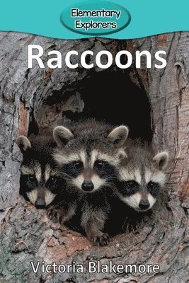 Victoria Blakemore - Raccoons, Häftad. Tillgänglighet: Lägg i varukorg
