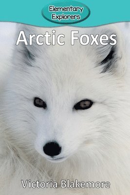 Victoria Blakemore - Arctic Foxes, Häftad. Tillgänglighet: Lägg i varukorg
