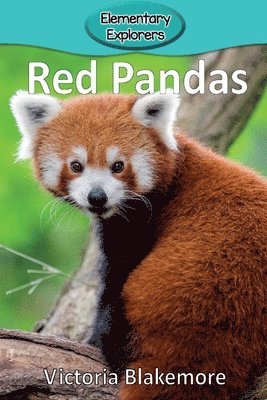 Victoria Blakemore - Red Pandas, Häftad. Tillgänglighet: Lägg i varukorg