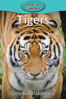 Victoria Blakemore - Tigers, Häftad. Tillgänglighet: Lägg i varukorg