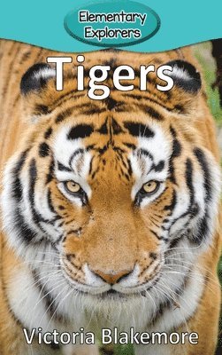 Victoria Blakemore - Tigers, Inbunden. Tillgänglighet: Lägg i varukorg