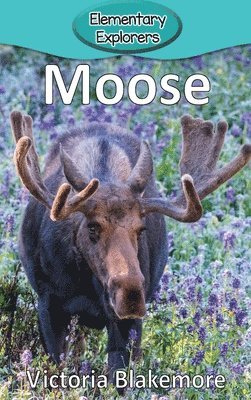 Victoria Blakemore - Moose, Inbunden. Tillgänglighet: Lägg i varukorg