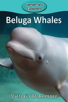 Victoria Blakemore - Beluga Whales, Häftad. Tillgänglighet: Lägg i varukorg