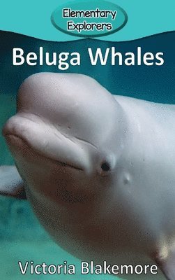 Victoria Blakemore - Beluga Whales, Inbunden. Tillgänglighet: Lägg i varukorg