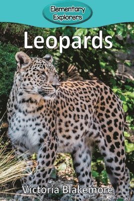 Victoria Blakemore - Leopards, Häftad. Tillgänglighet: Lägg i varukorg