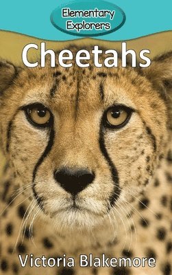 Victoria Blakemore - Cheetahs, Inbunden. Tillgänglighet: Lägg i varukorg