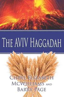 Barry Page, Chryl Elizabeth McWilliams - The AVIV Haggadah, Häftad