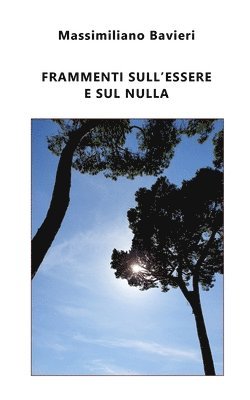 Massimiliano Bavieri - Frammenti sull'Essere e sul nulla, Häftad