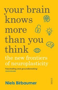 Your Brain Knows More Than You Think: The New Frontiers of Neuroplasticity