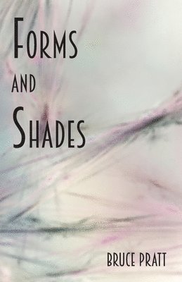 Bruce Pratt - Forms and Shades, Häftad