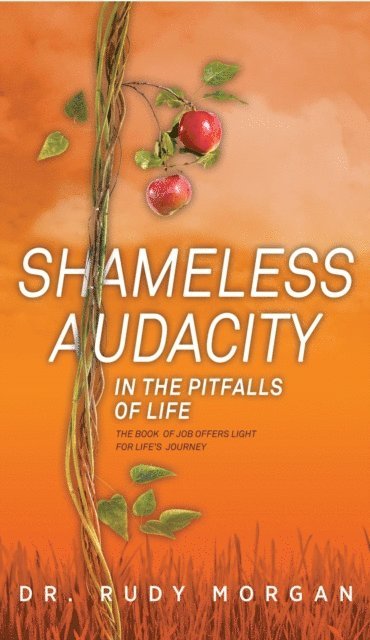 Rudy Morgan - Shameless Audacity in the Pitfalls of Life: the Book of Job Offers Light for Life's Journey, E-bok