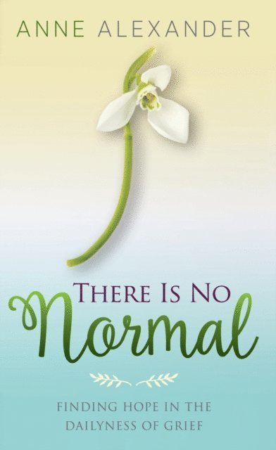 Anne Alexander - There Is No Normal: Finding Hope in the Dailyness of Grief, E-bok