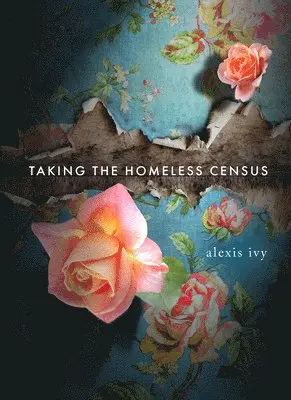 Alexis Ivy - Taking the Homeless Census, Häftad. Tillgänglighet: Lägg i varukorg