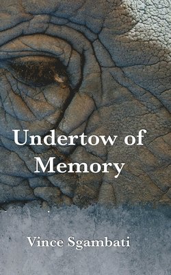Vince Sgambati - Undertow of Memory, Häftad. Tillgänglighet: Lägg i varukorg