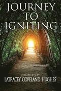 Journey to Igniting