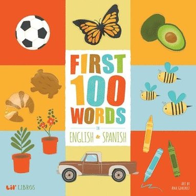 Patty Rodriguez, Ariana Stein - First 100 Words in English and Spanish, Kartonnage