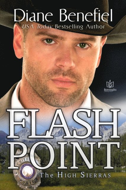 Diane Benefiel - Flash Point, E-bok