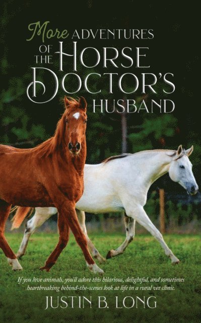 Justin B. Long - More Adventures of the Horse Doctor's Husband, E-bok. Tillgänglighet: Lägg i varukorg