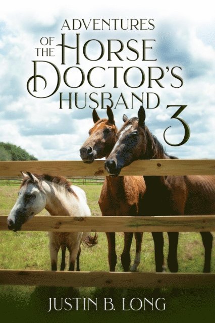Justin B. Long - Adventures of the Horse Doctor's Husband 3, E-bok. Tillgänglighet: Lägg i varukorg