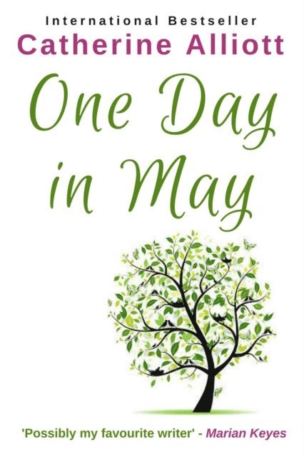 Catherine Alliott - One Day In May, E-bok