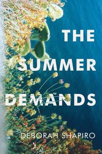 Summer Demands