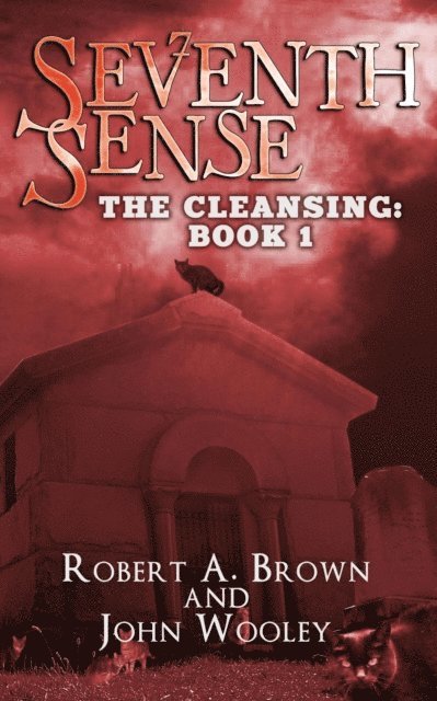 John Wooley, Robert A. Brown - Seventh Sense, E-bok