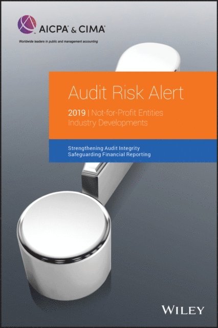 AICPA - Audit Risk Alert, E-bok