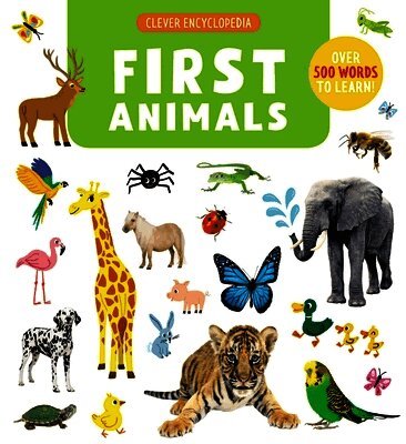 Cecile Jugla - First Animals: Over 500 Words to Learn!, Inbunden