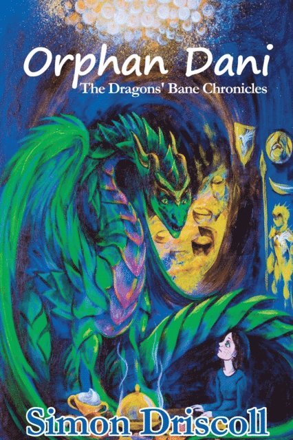 Simon Driscoll - Orphan Dani, E-bok