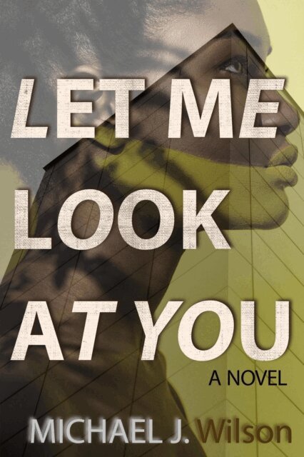 Michael J. Wilson - Let Me Look at You, E-bok