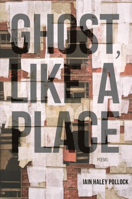 Iain Haley Pollock - Ghost, like a Place, E-bok