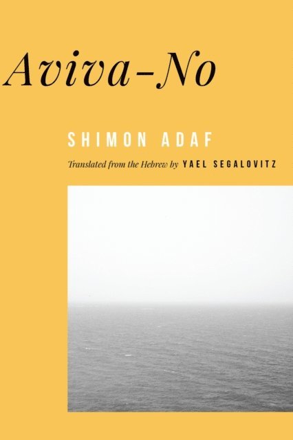 Shimon Adaf - Aviva-no, E-bok
