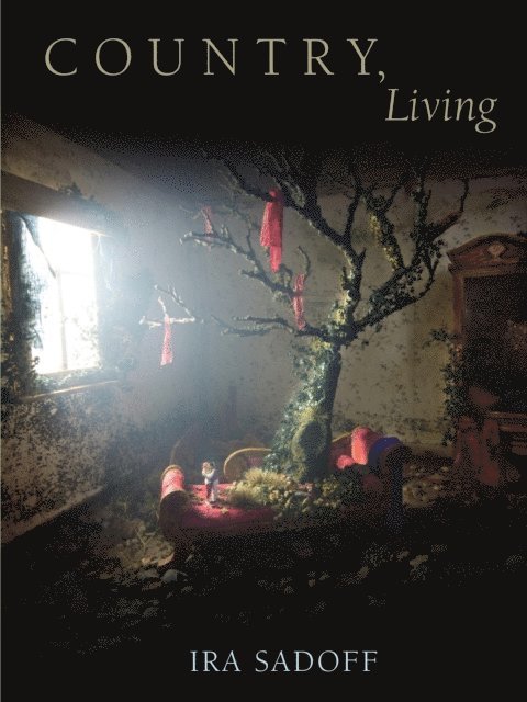 Ira Sadoff - Country, Living, E-bok