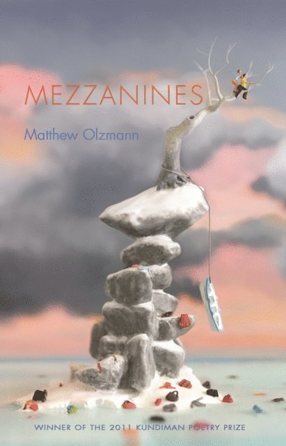 Matthew Olzmann - Mezzanines, E-bok