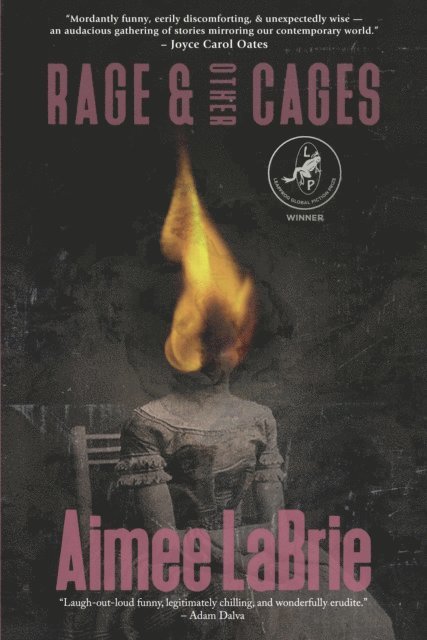 Aimee LaBrie - Rage & Other Cages, E-bok