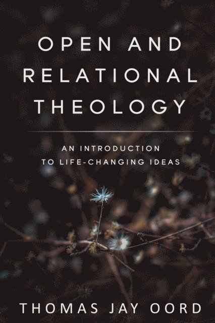 Thomas Jay Oord - Open and Relational Theology, E-bok