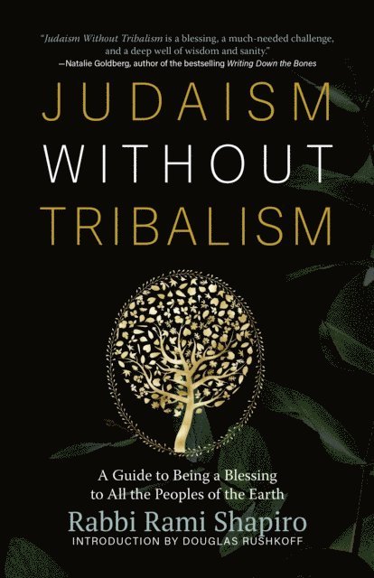 Rabbi Rami Shapiro - Judaism Without Tribalism, E-bok