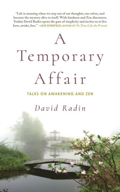 David Radin - Temporary Affair, E-bok