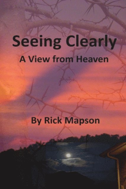 Rick Mapson, Adam Nelson - Seeing Clearly, E-bok
