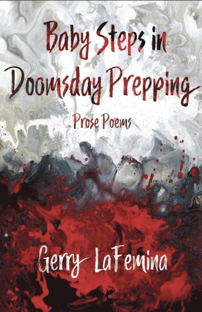 Gerry Lafemina - Baby Steps in Doomsday Prepping, E-bok