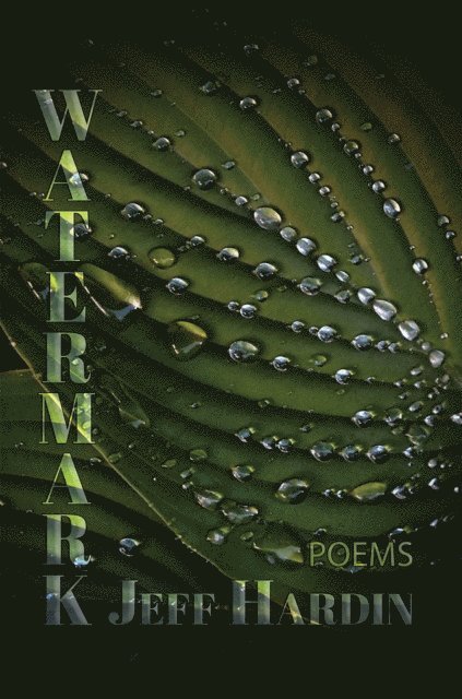Jeff Hardin - Watermark, E-bok