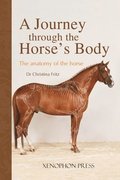A Journey Through the Horse's Body