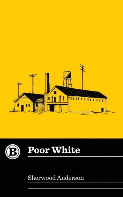 Sherwood Anderson - Poor White, E-bok