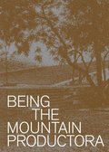 Being the Mountain
