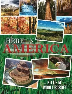 Kittie M. Woolliscroft - Here in America, Häftad. Tillgänglighet: Lägg i varukorg